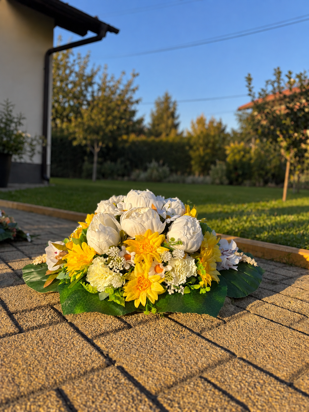 Vale | Žuto-bijela