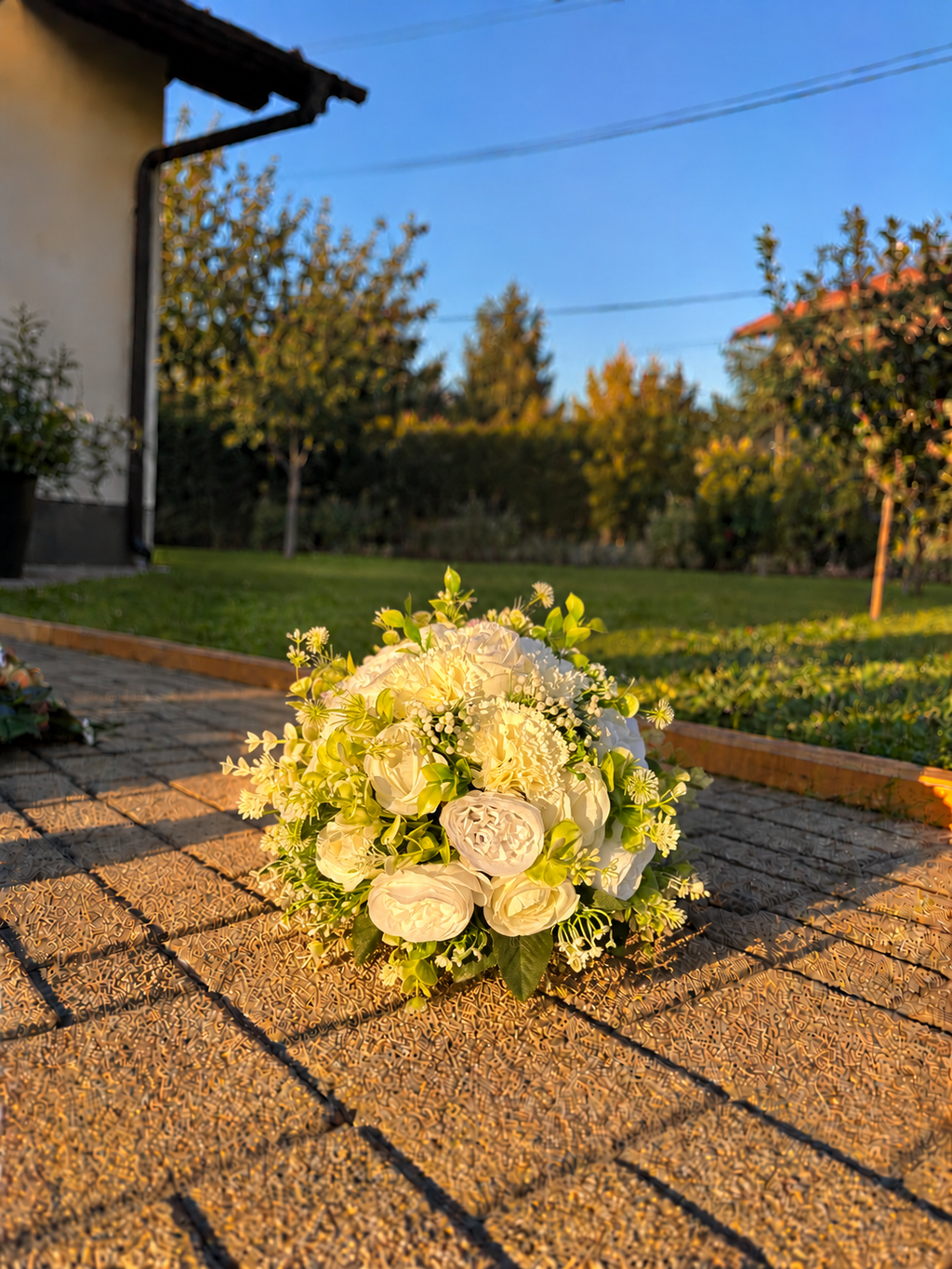 Aura | Bijela